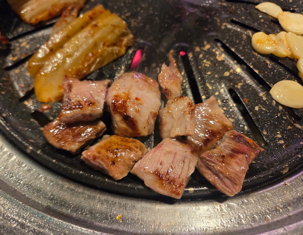 숯돼지 사진 4