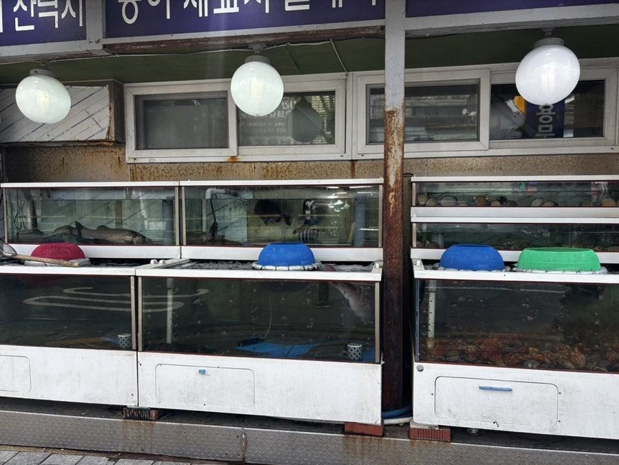 천하통일 사진 2