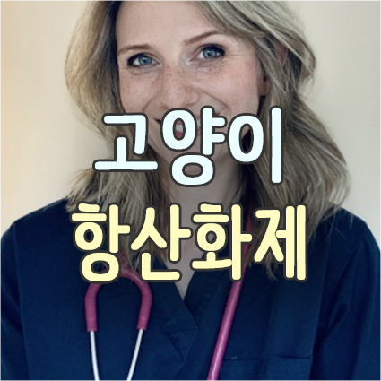 고양이 항산화제 종류 효과와 부작용