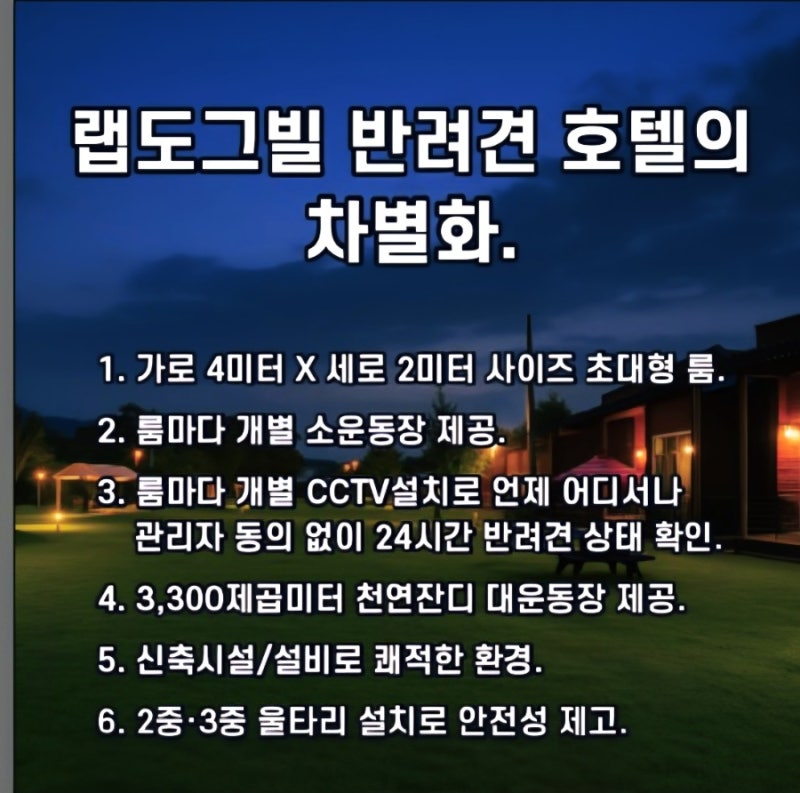 사진 10
