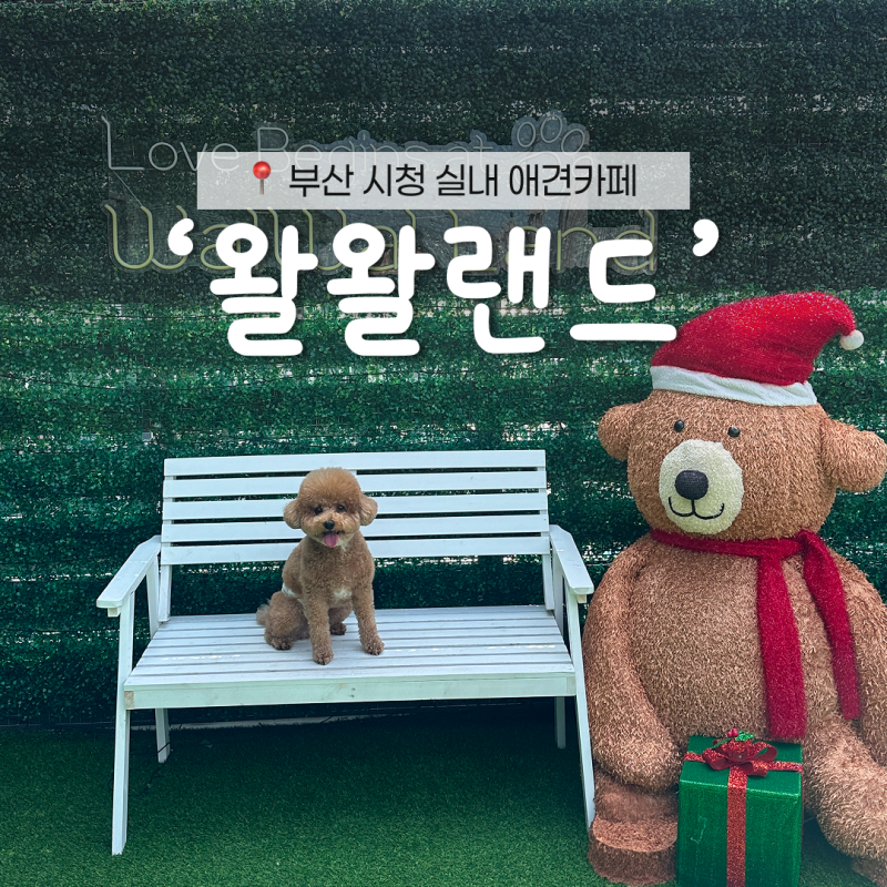사진 6