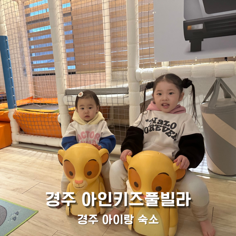 경주 아이랑 숙소 추천 놀거리 천국 경주 아인키즈풀빌라 찐후기