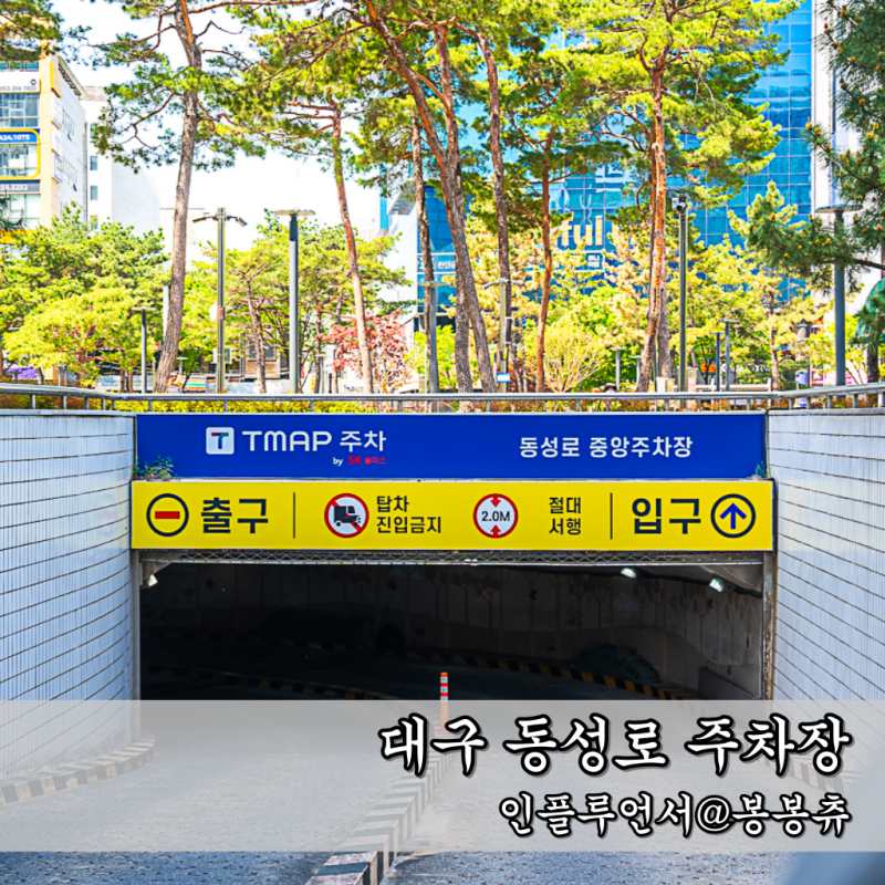 사진 6