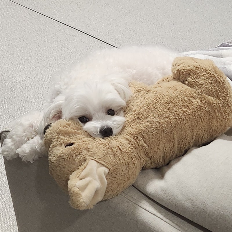 사진 10