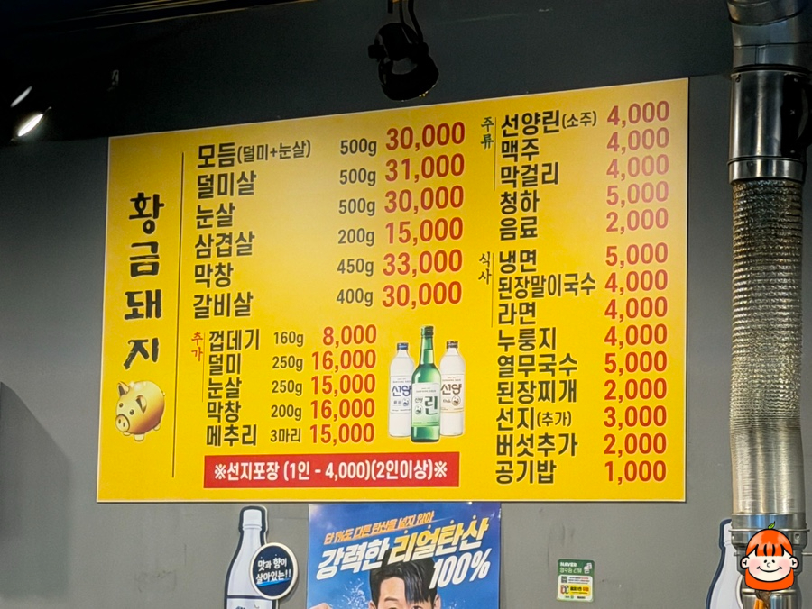 황금돼지 사진 6