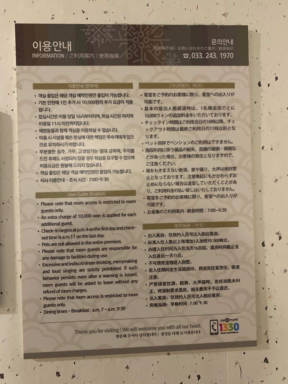 나비야 사진 6