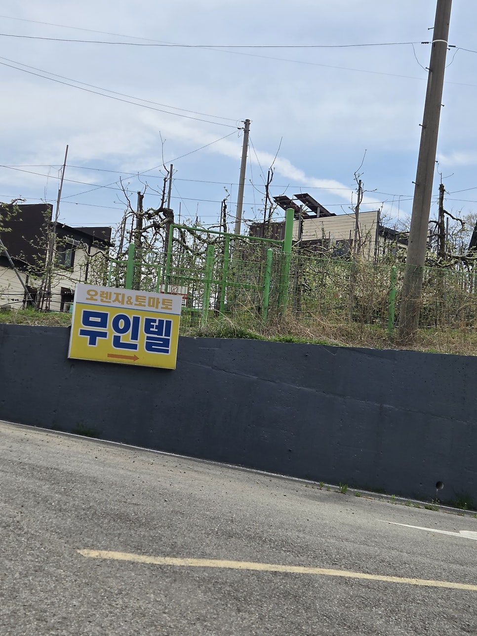 오렌지토마토무인텔 사진 2