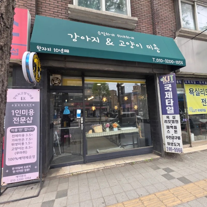 사진 6