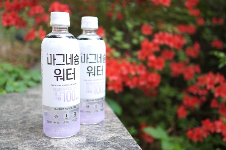  빙그레 마그네슘워터 에너지 제로음료 추천