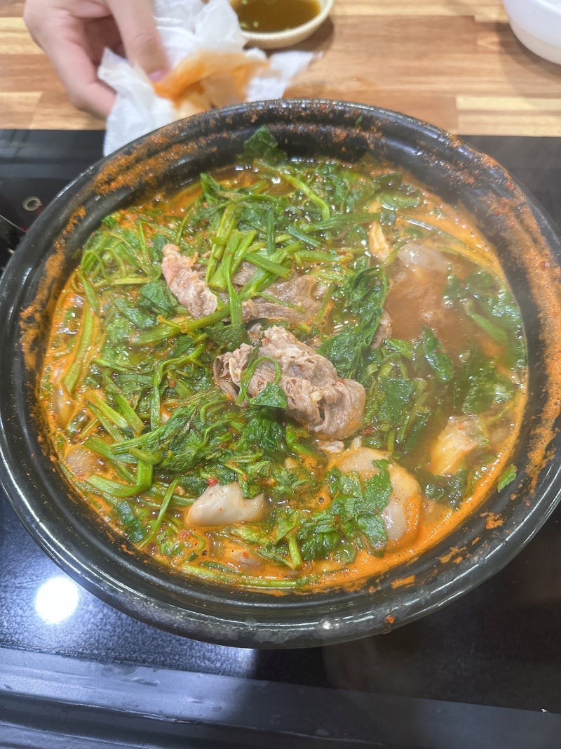 포항이동샤브샤브 얼큰한 등촌 샤브칼국수 미나리 버섯 가득한 푸짐한 한 끼 식사