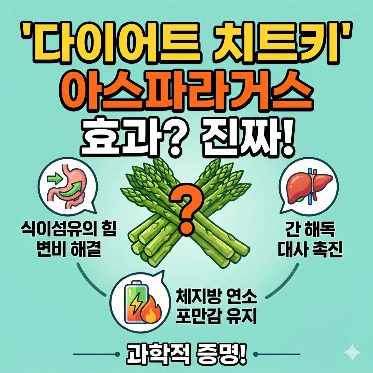  아스파라거스 다이어트, 식단에 넣었더니 체지방이 쏙?