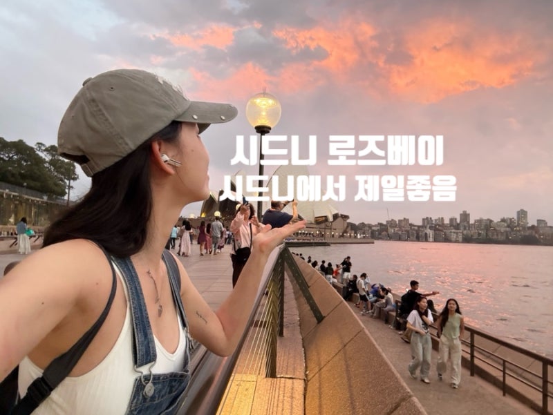 시드니 로즈베이 노을 명소: 페리 타고 가는 조용한 힐링 스팟! 너무좋음 ㅠ