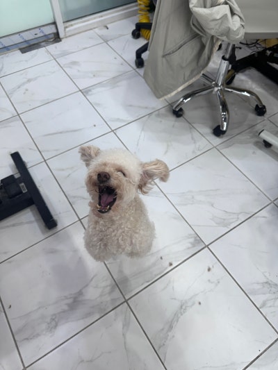 사진 3