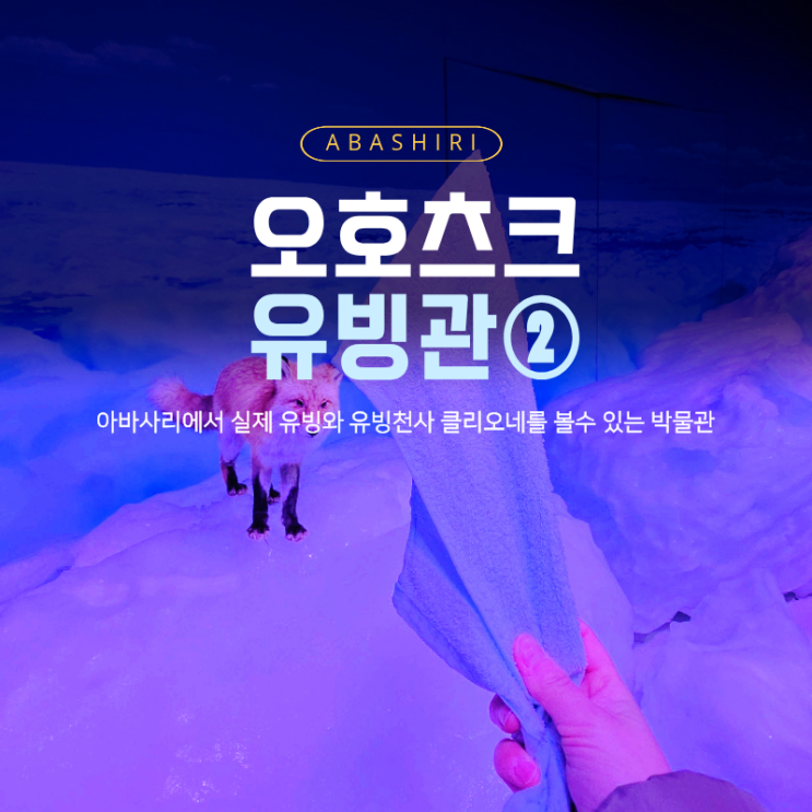  홋카이도여행 아바시리 전망대 오호츠크 유빙관 후기, 유빙체험 가능한 실내명소