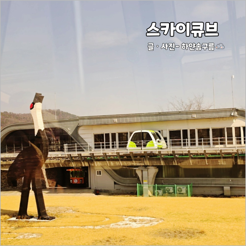 순천만국가정원 스카이큐브 예매 가격 순천만습지까지 소요시간 코스 총정리
