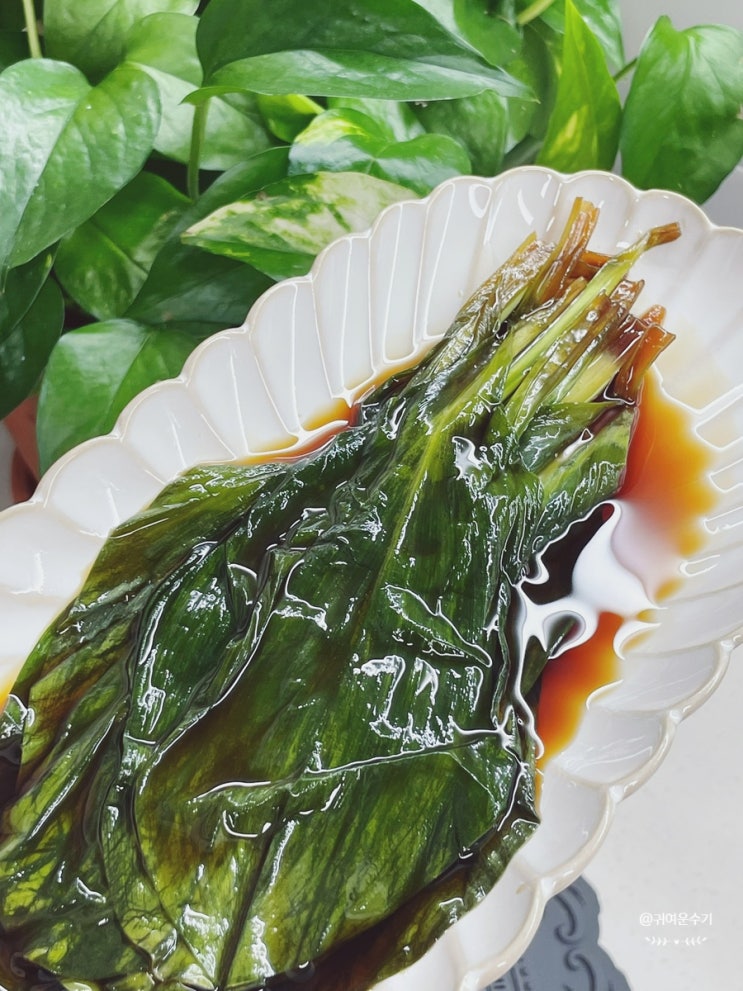  명이나물 장아찌 만들기 1kg 실패없는 산마늘장아찌 레시피 시판 장물에 ‘이것’ 넣어 곰팡이 걱정 끝!