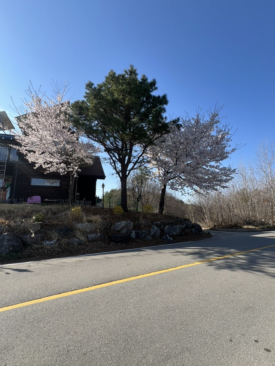 스테이미노 사진 2