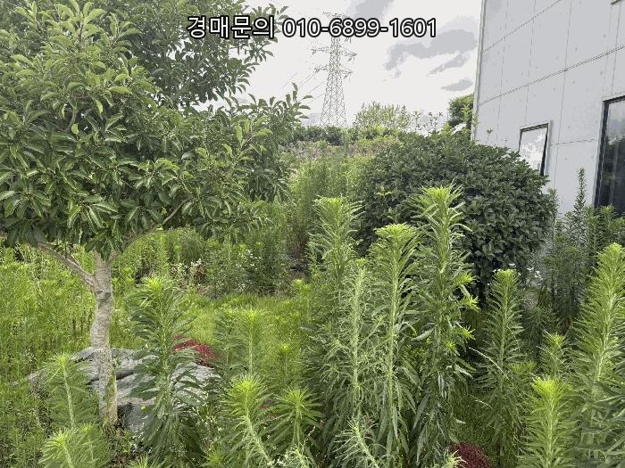  제주 제주시 회천동 넓은 부지 공장 경매, 성공적인 수익형 부동산 투자를 위한 기회 2025타경1153