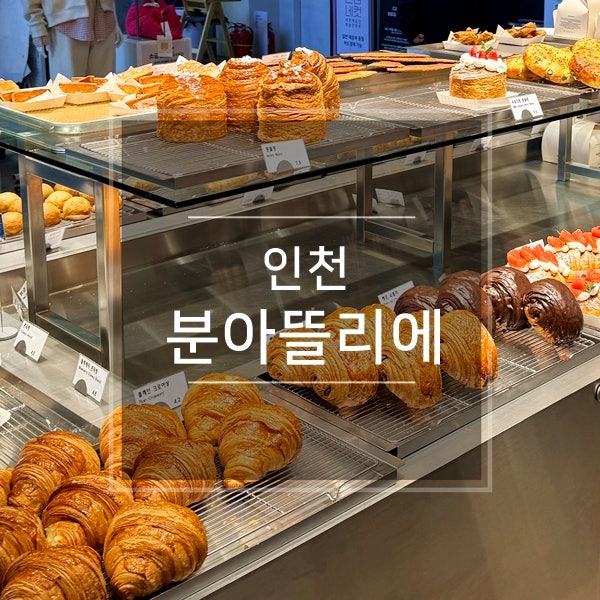 사진 8