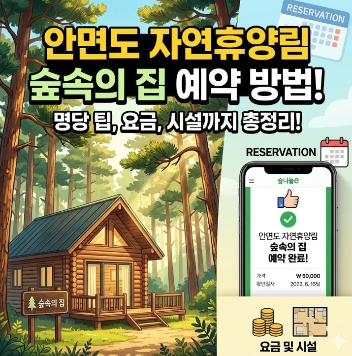 안면도 자연휴양림 숙소 예약 가이드: 숲속의 집 요금 및 명당 팁