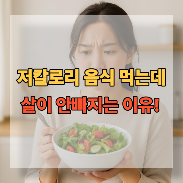  저칼로리 음식 먹는데 살 안 빠지는 이유 5가지