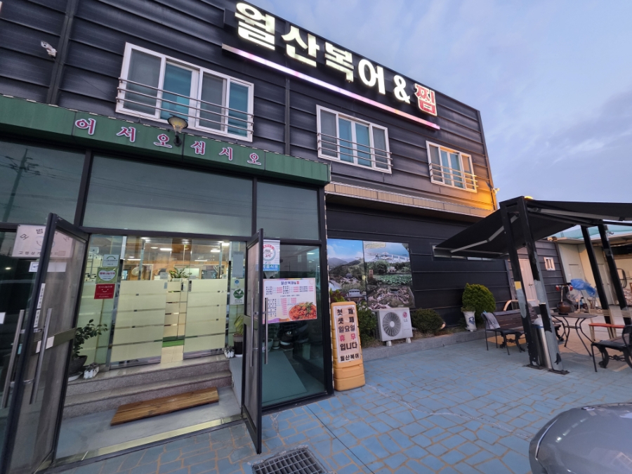 월산복어 사진 1