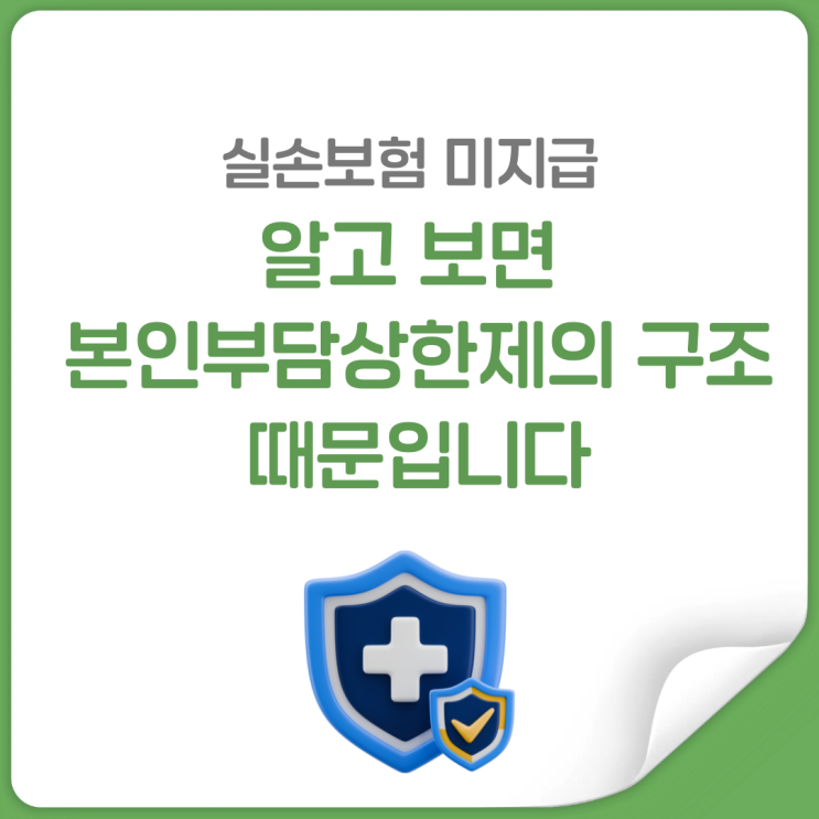  본인부담상한제 실손보험, 덜 받는 이유 따로 있습니다