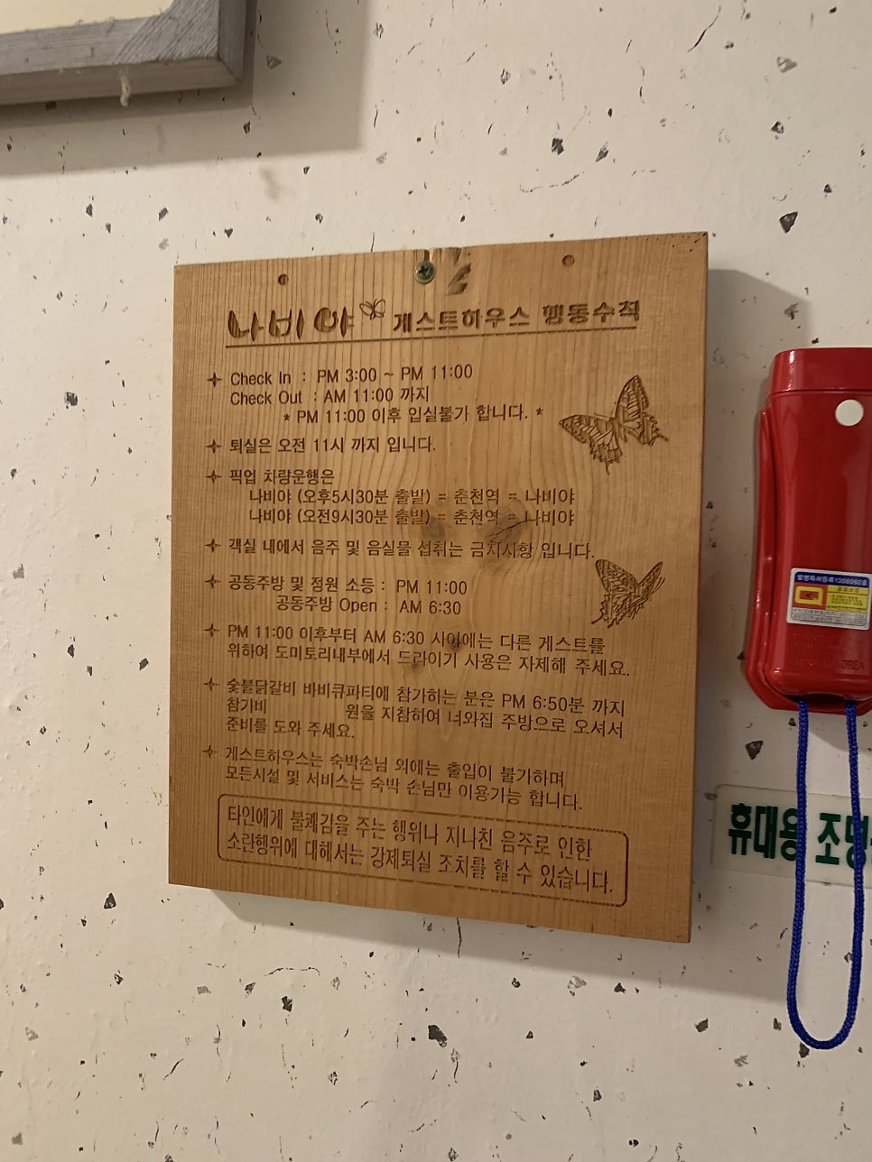 나비야 사진 5