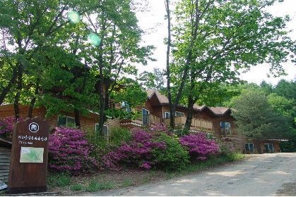 4월 힐링 여행 횡성 청태산 자연 휴양림 예약 및 프로그램 일정
