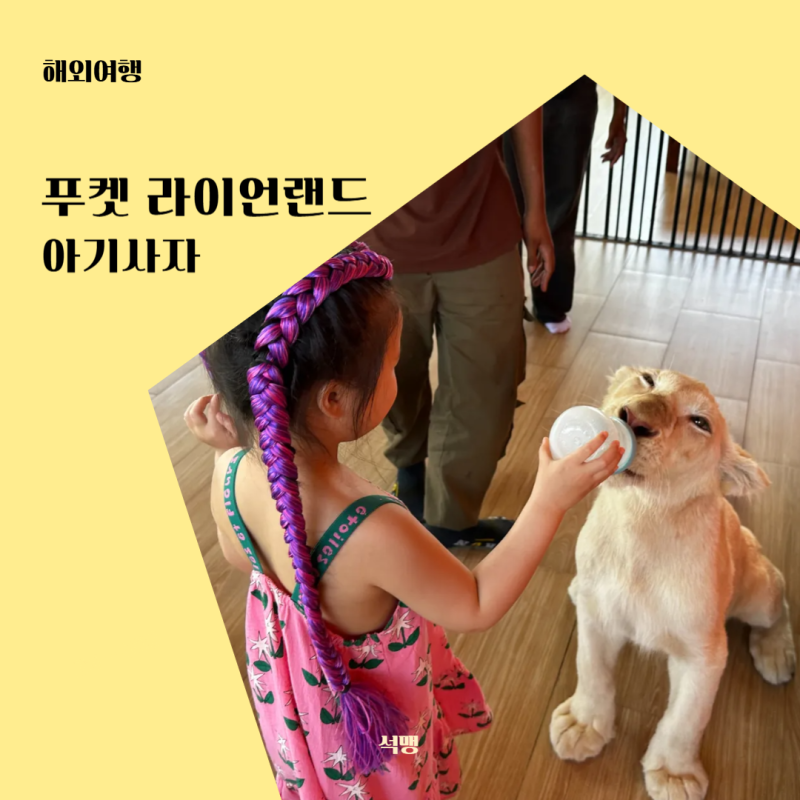 사진 3
