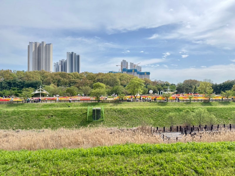 사진 9