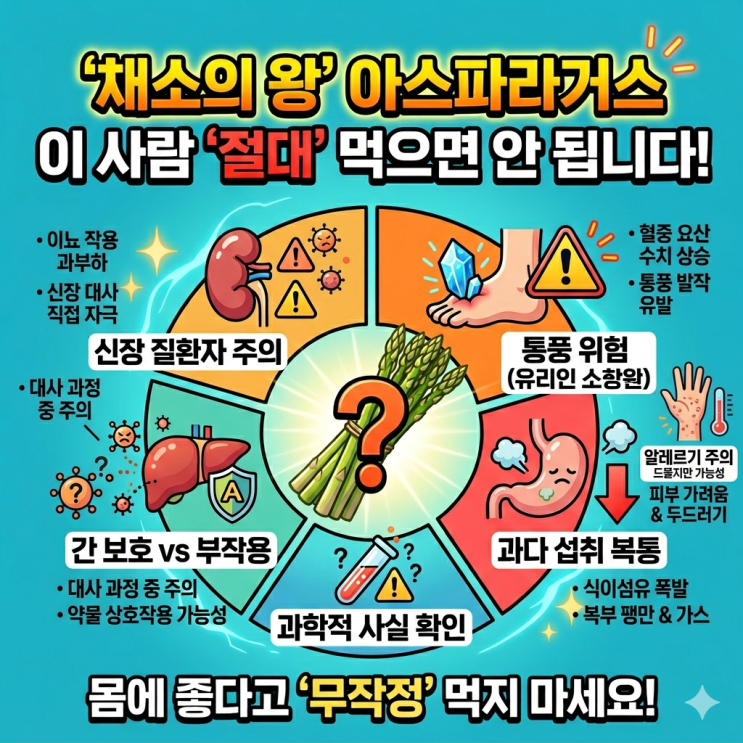  아스파라거스 부작용, 이 사람 '절대' 먹으면 안 됩니다