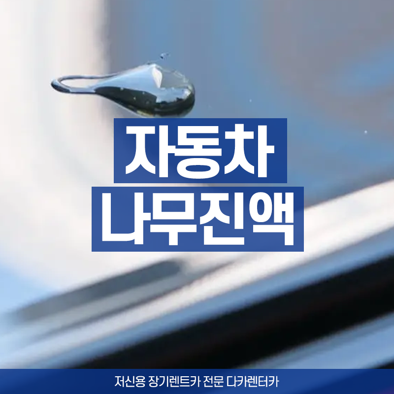 자동차 나무진액 제거, 안전하게 지우는 방법과 관리법은?