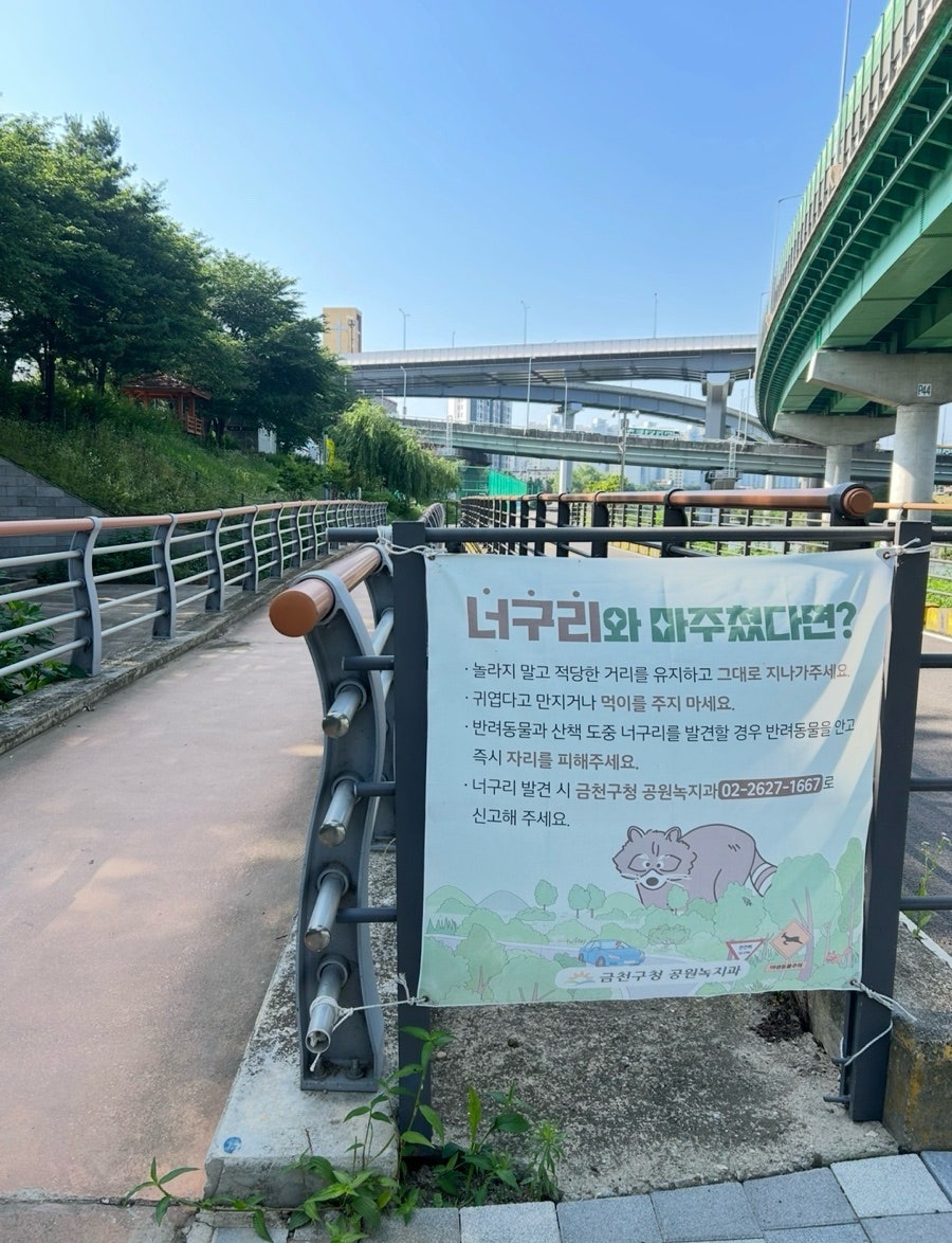 노랑통닭 안양석수점 사진 3