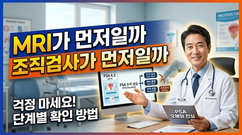 전립선 MRI와 조직 검사, 무엇을 먼저 볼까? 판단 기준 정리