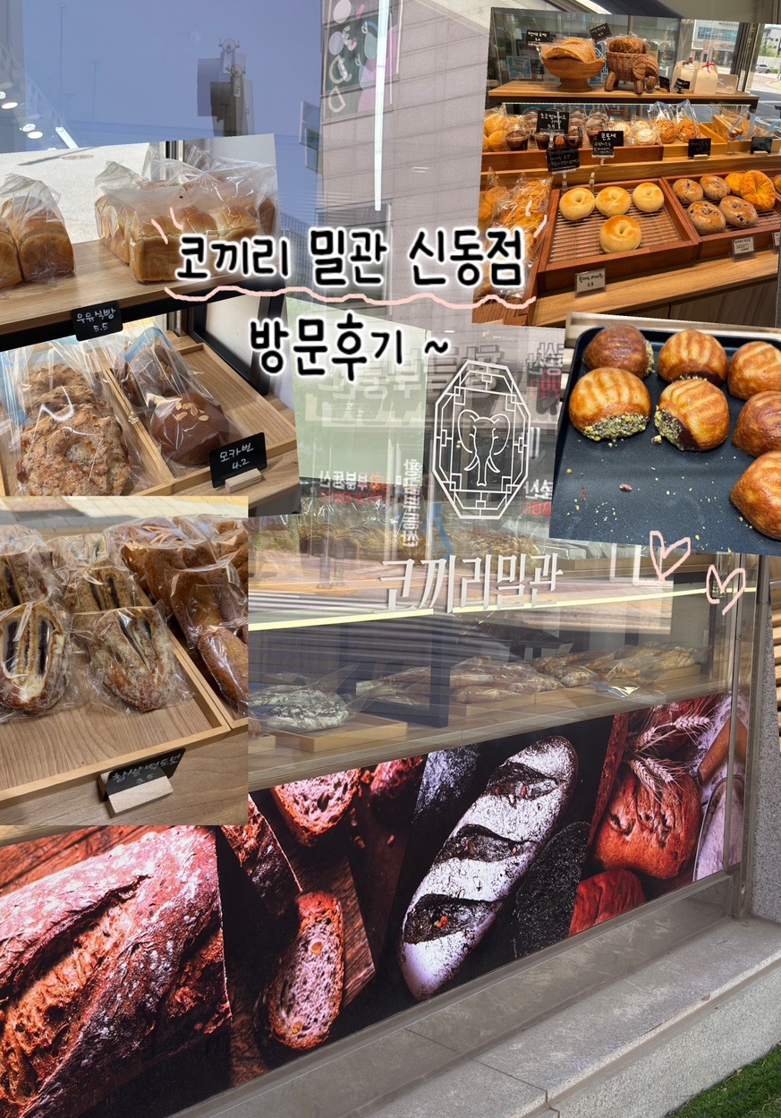 코끼리밀관 신동점 사진 1