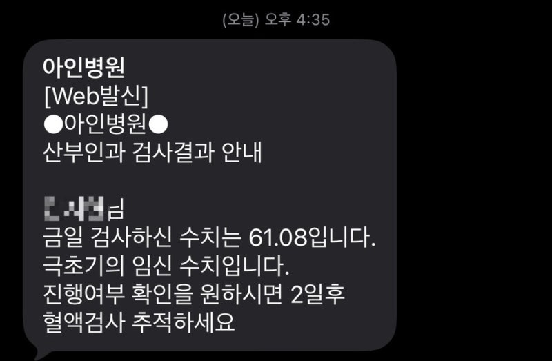 배란 14일차 임테기 연해짐 피검사 결과