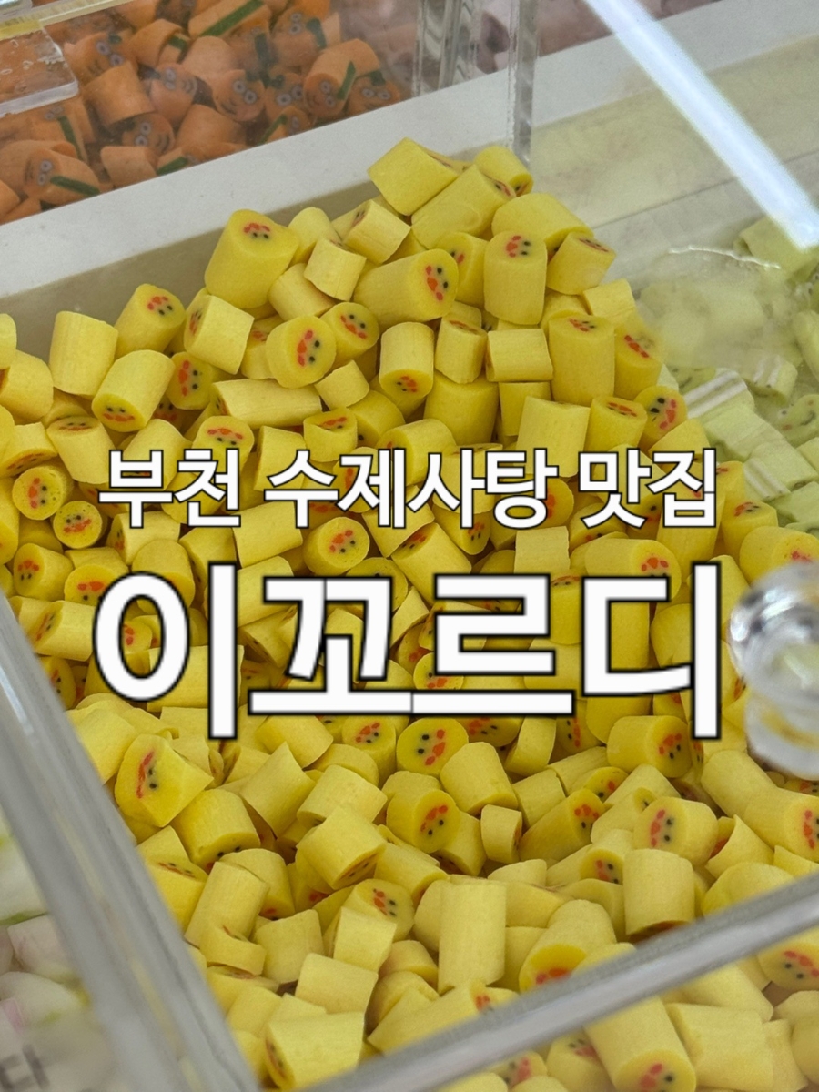 이꼬르디 사진 1