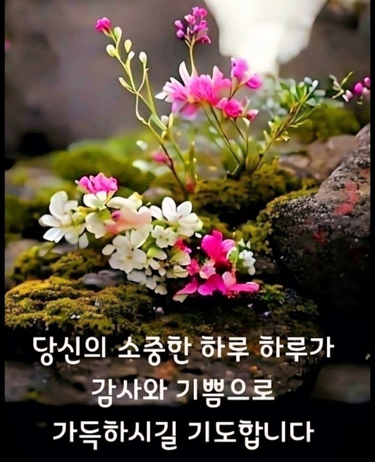 舌斬身刀(<b>설참신도</b>)