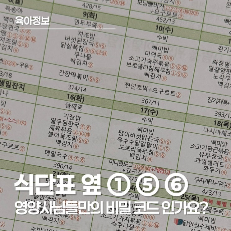  어린이집 식단표 옆 숫자 의미, 알레르기가 있는 아이들이라면 조금 더 주의 깊게 확인해 보세요