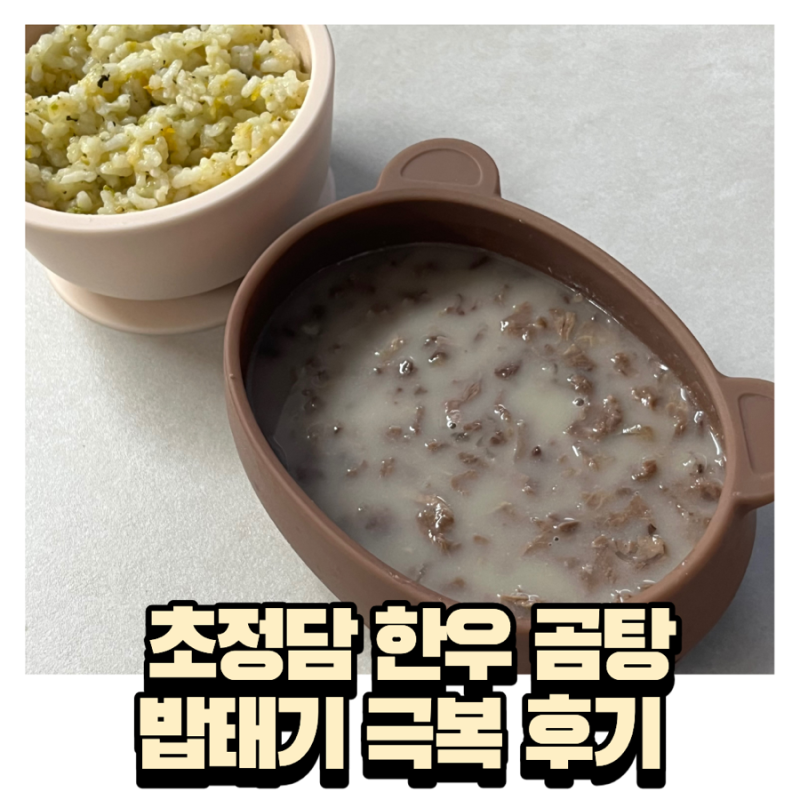 돌 아기 밥태기 극복 후기 초정담 한우 곰탕
