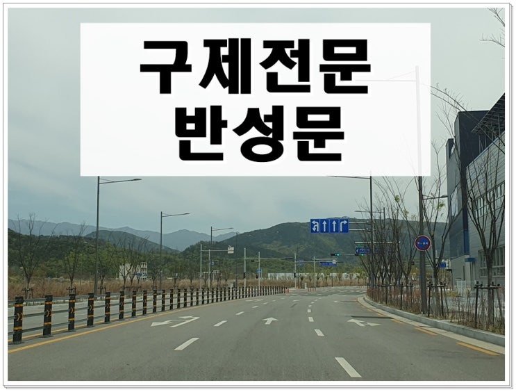  음주운전반성문효력 이의신청 행정심판 제출