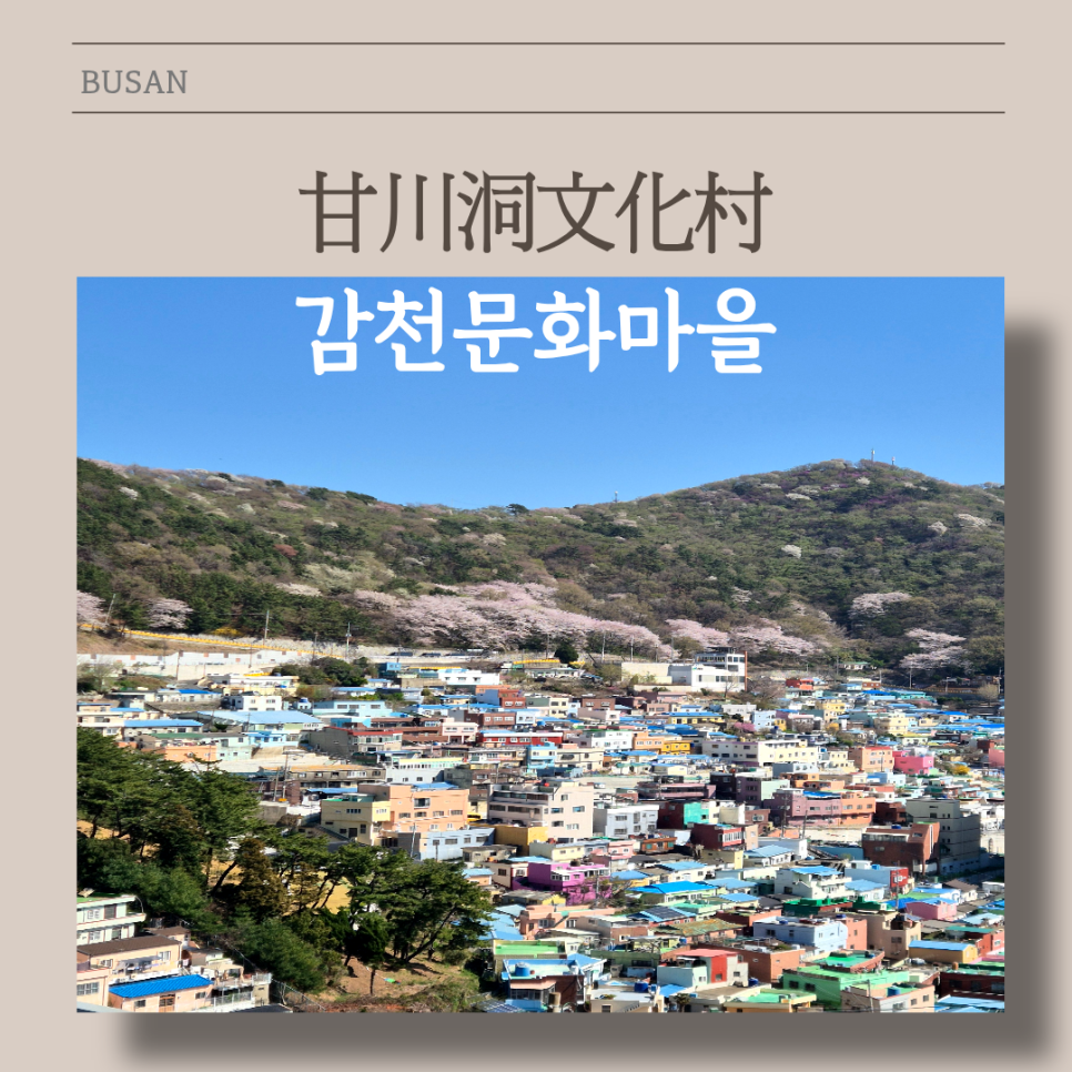 감천제빵소 사진 2