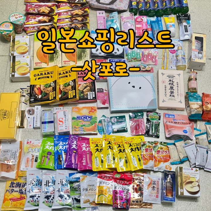 일본 쇼핑 리스트 : 삿포로 기념품 및 선물 쇼핑 추천템(돈키호테/편의점/시키마르쉐)