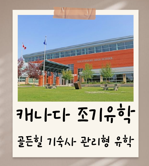 사진 7