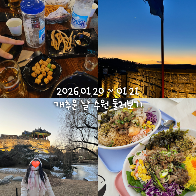  1월일상 4 :: 수원에서 술마시고 행궁동 돌아댕김 (화성, ak플라자)