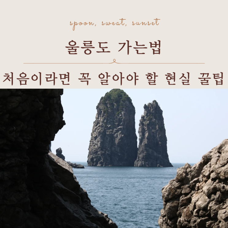  울릉도 가는법 가장 쉬운 방법 배편 시간 항구 비교 정리