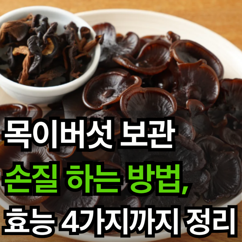 목이버섯 보관 손질 하는 방법, 효능 4가지까지 정리