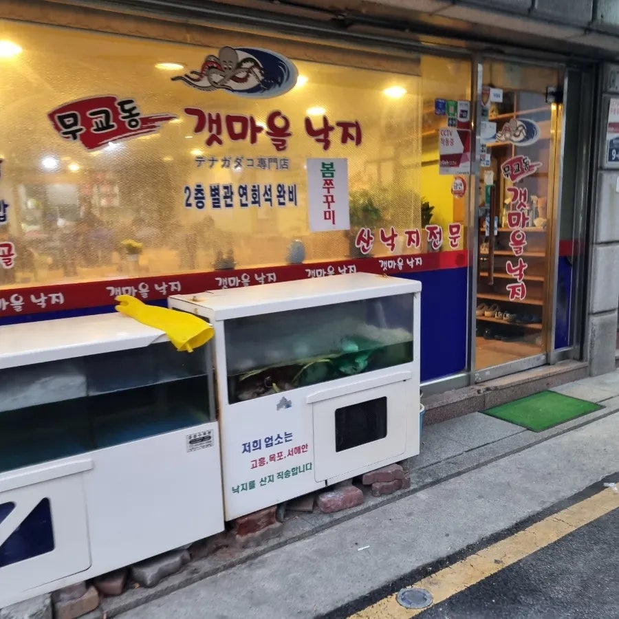 무교동갯마을낙지 사진 1
