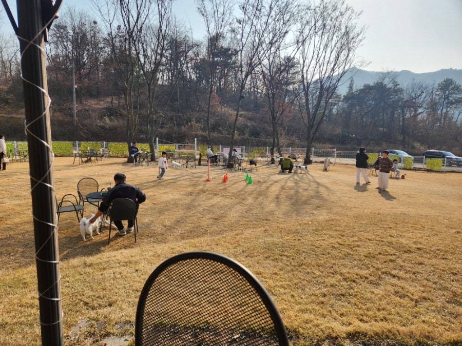 코코앤잭슨 사진 4